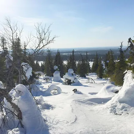 Sallanhelmi A2 By Interhome * Tikkala