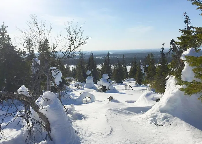 Sallanhelmi A2 By Interhome * Tikkala