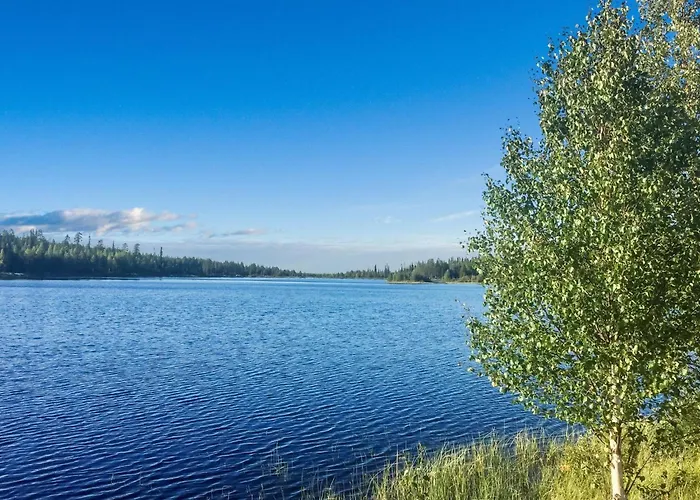 Sallanhelmi A2 By Interhome בית נופש Tikkala